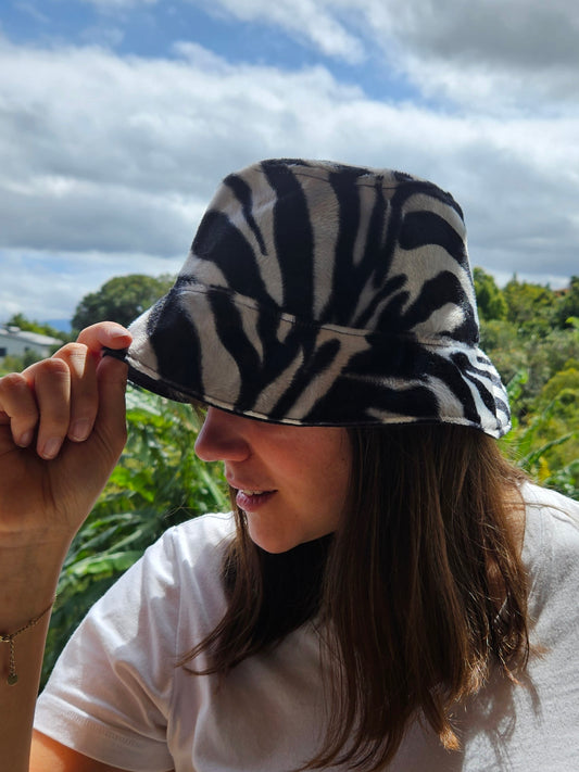 Bob ⚡ Electric Zebra