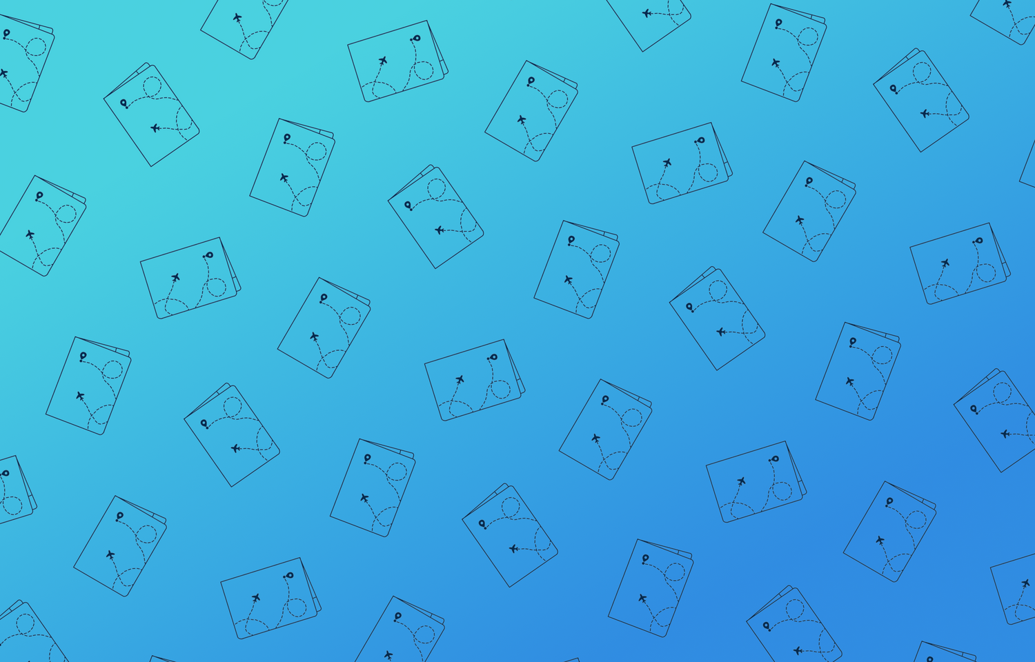 Les Protège-passeports